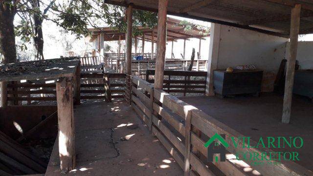 Fazenda, 8 hectares - Foto 16