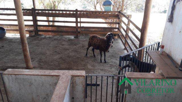 Fazenda, 8 hectares - Foto 17