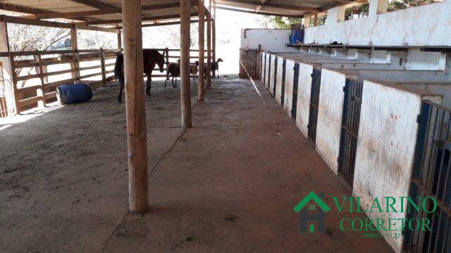 Fazenda, 8 hectares - Foto 18