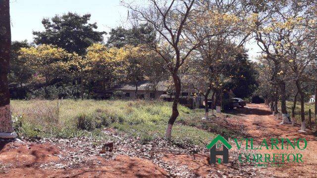 Fazenda, 8 hectares - Foto 19