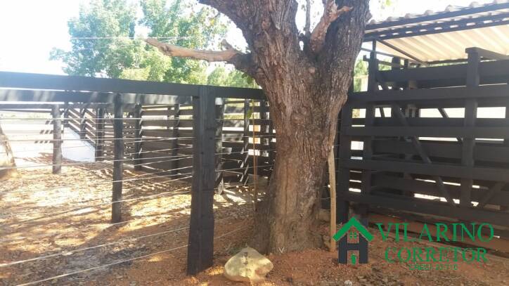 Fazenda, 11 hectares - Foto 18