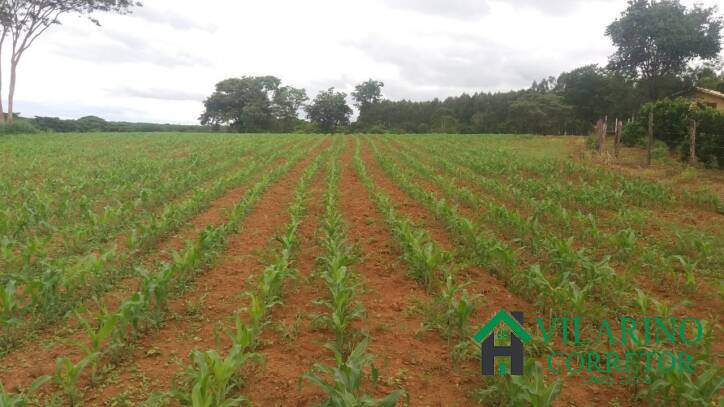 Fazenda, 11 hectares - Foto 22