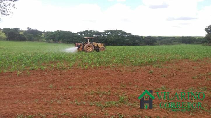 Fazenda, 11 hectares - Foto 33