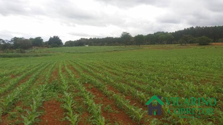 Fazenda, 11 hectares - Foto 38