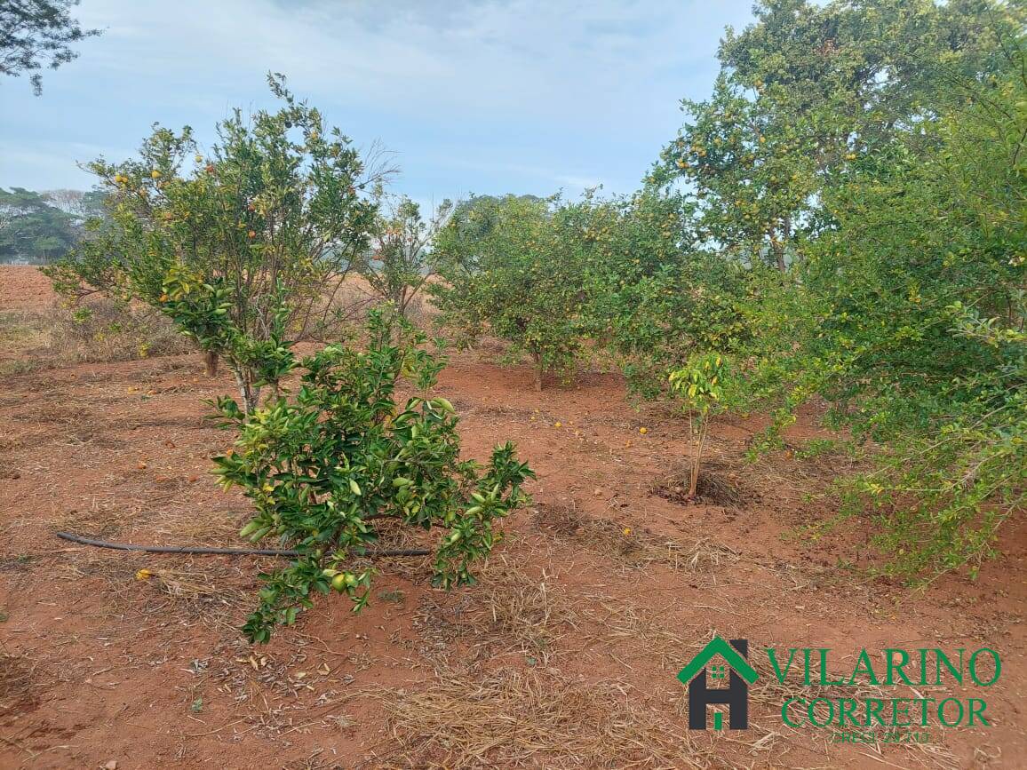 Fazenda, 11 hectares - Foto 96
