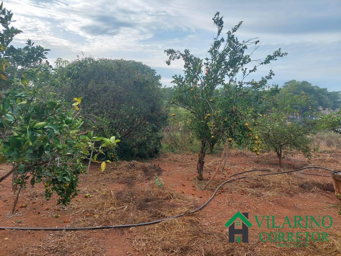 Fazenda, 11 hectares - Foto 97