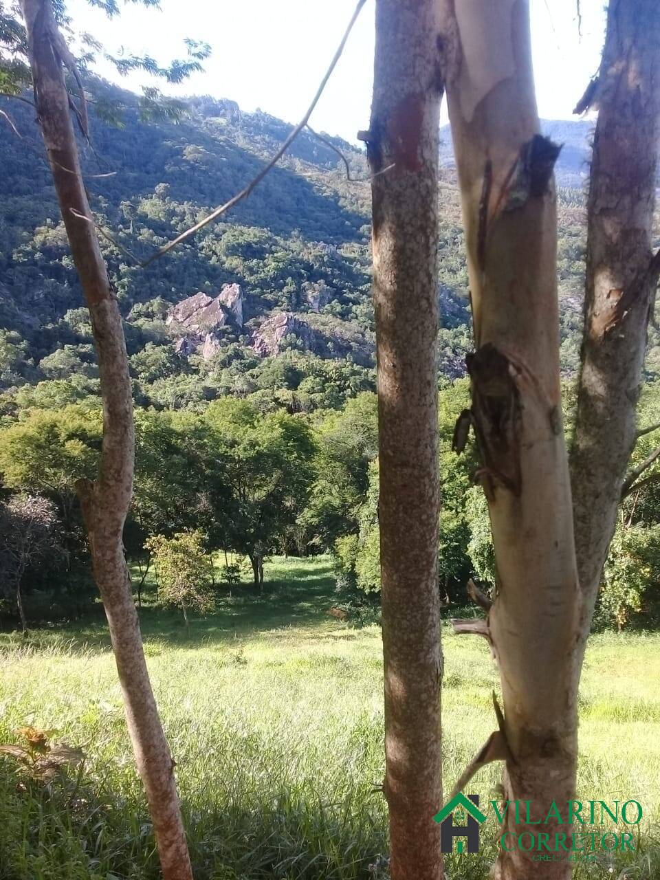 Sítio, 3 quartos, 15 hectares - Foto 16